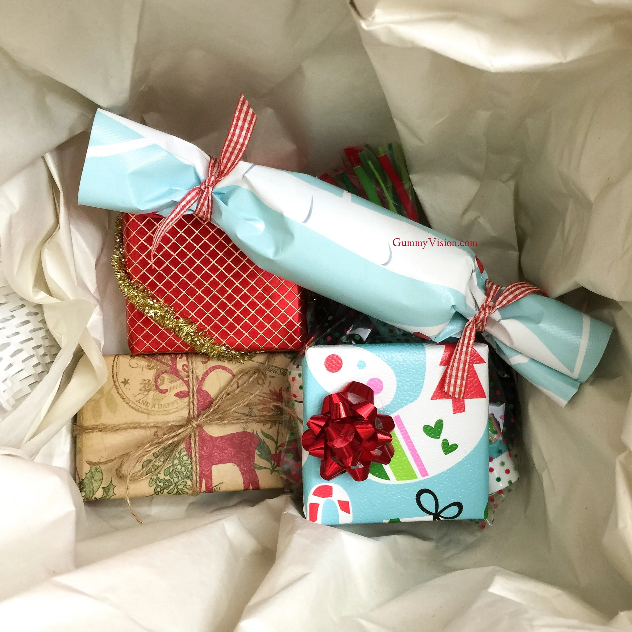 Holiday Giveaway 2014 - www.gummyvision.com
